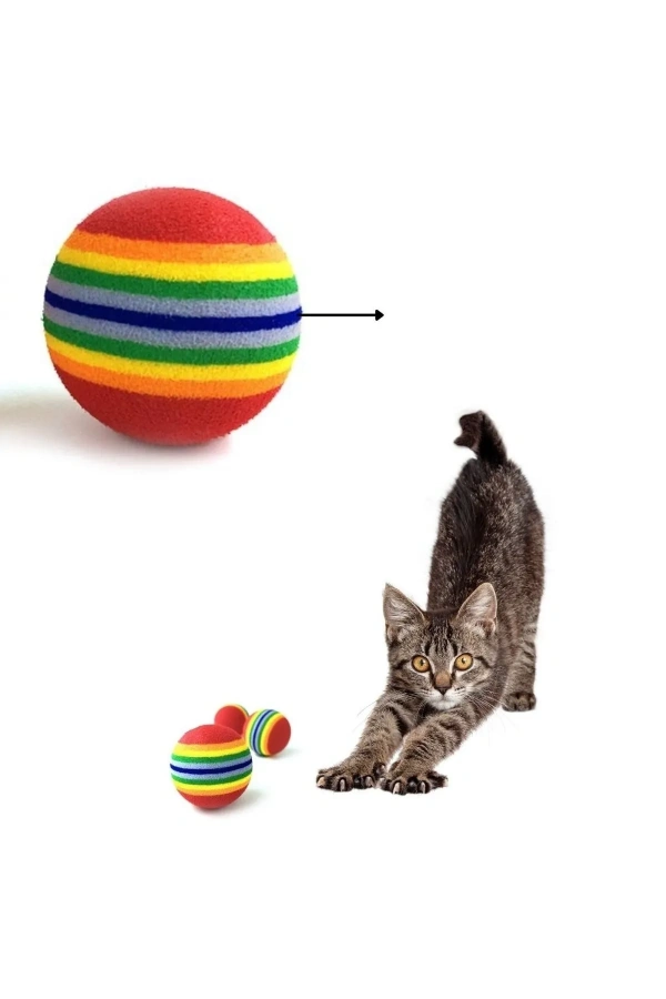 Sünger Kedi Köpek Çiğneme Ve Oyun Topu 4 Adet