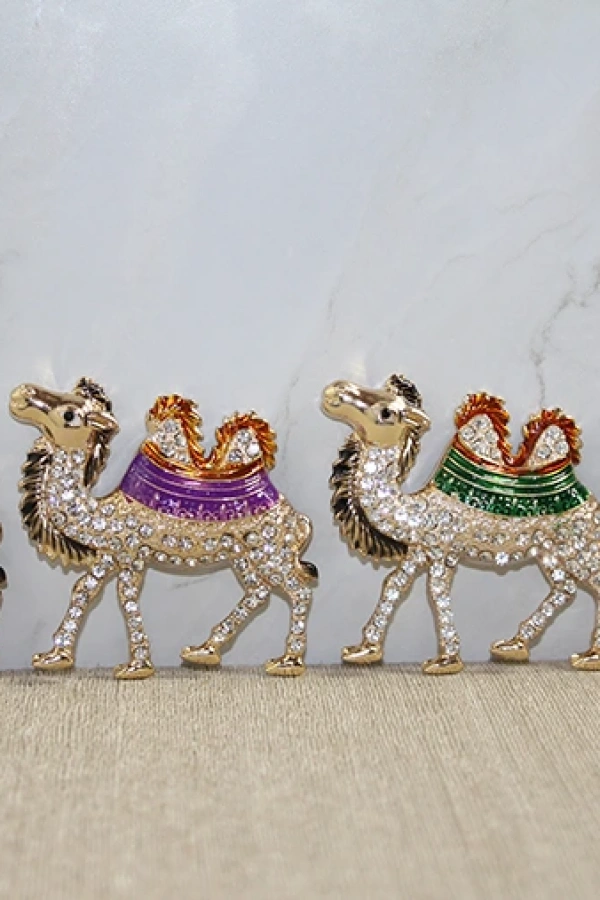 Swarovski Taşlı Magnet Model 6