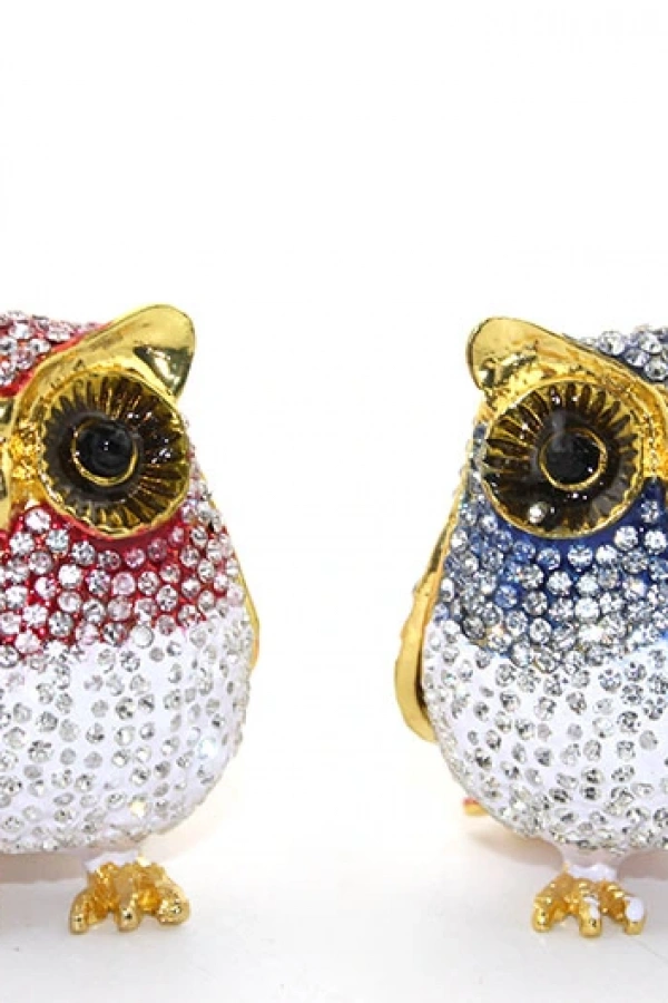 Swarovski Tekli Baykuş Model 1