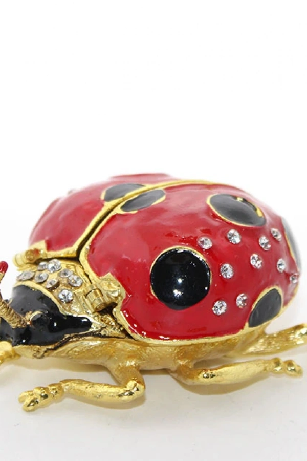 Swarovski Uğur Böceği Model 1