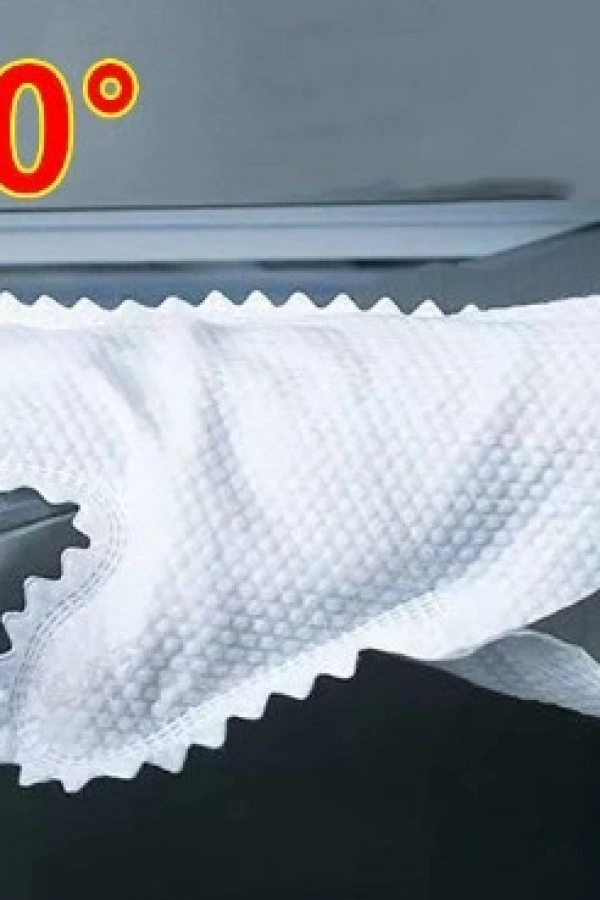 Temizlik Toz Alma Eldiveni 10 Adet