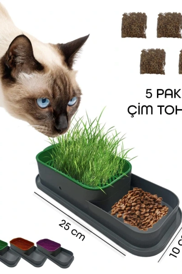 Topraksız Kedi Çimi Kabı