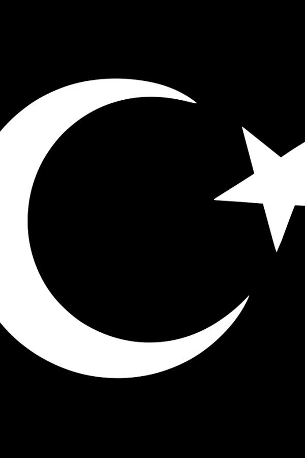 Türk Bayrağı Oto Sticker Beyaz 17x13 cm