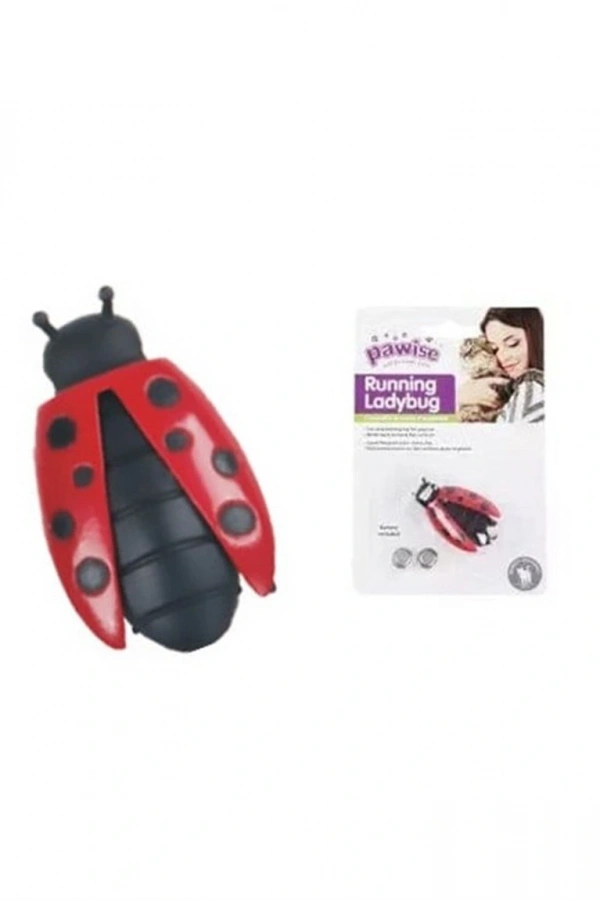 Uğur Böceği Hareketli Kedi Oyuncağı