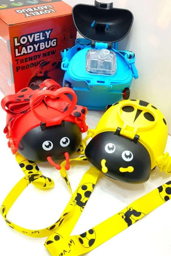 Uğur Böceği Su Matarası