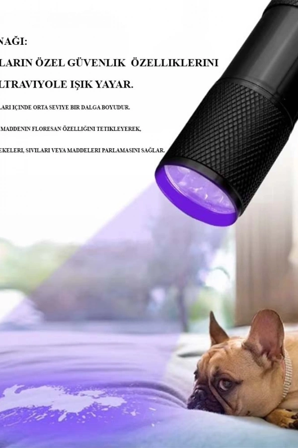 Ultraviole Para Kontrol Işığı Wt-302