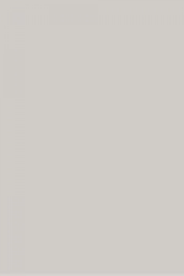 Weber Joint Sil 415 Gri Derz Dolgu 2 Kg