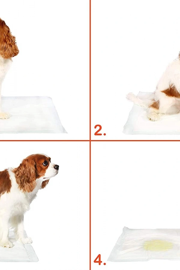 Yıkanabilir Köpek Çiş Pedi - 90 X 60 Cm