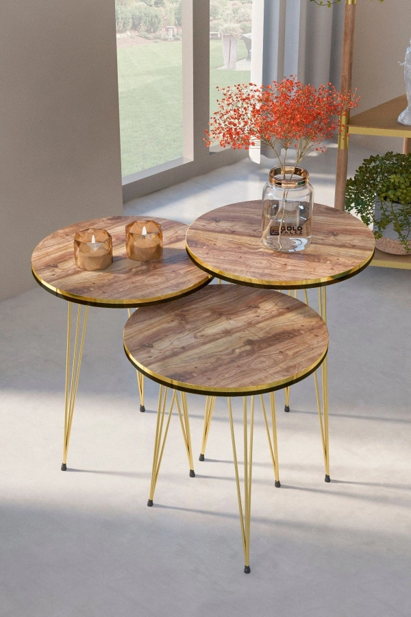 Zigon Sehpa Ve Orta Sehpa Elips Set Çift Gold Ceviz Tel