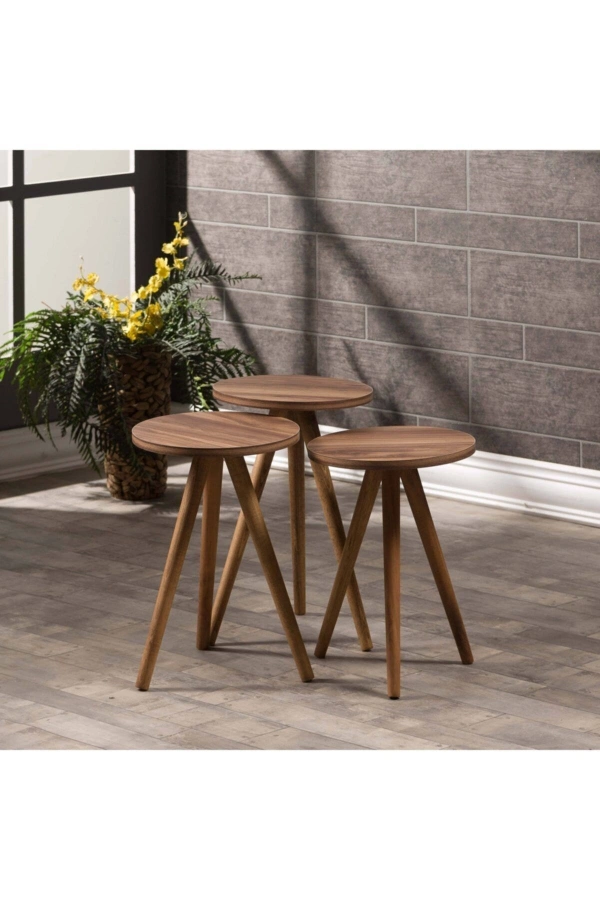 Zigon Sehpa Ve Orta Sehpa Kr Torna Ceviz Set 3006