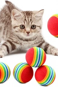 2 ADET GÖKKUŞAĞI RENKLI KEDI KÖPEK OYUN TOPU