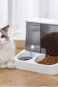 2si 1 Arada Otomatik Kedi Mama ve Su Kabı