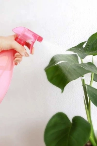 2 Sprey Modlu Mutfak Banyo Bitki Bakımı İçin Çok Amaçlı Spreyli Şişe 700 ML
