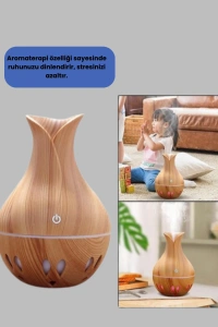 2070 Hava Nemlendirici