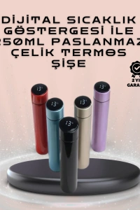 250ml LED Ekranlı Paslanmaz Çelik Akıllı Termos
