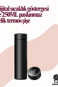 250ml LED Ekranlı Paslanmaz Çelik Akıllı Termos