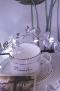 3 Metre Yaldızlı Gümüş LED Işık