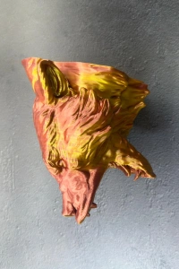 3D Jaguar Figürü Duvar Süsü