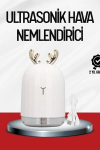 El Tipi USB Mini Soğuk Mist Nemlendirici 220 ml Tank