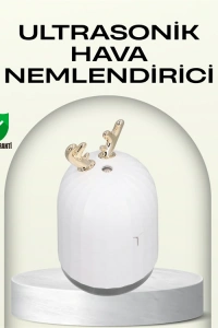 ABS+PP Malzemeli Taşınabilir 220 ml USB Mist Nemlendirici