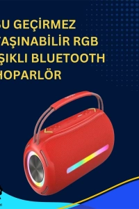 USB/SD/AUX Girişli Hoparlör – 10 W × 2 Çift Sürücü