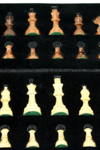 Ahşap Satranç Taşı No 3