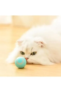 Akıllı İnteraktif Evcil Hayvan Oyuncağı