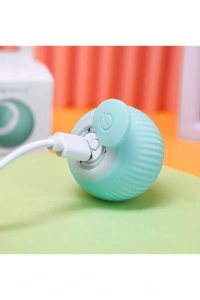 Akıllı İnteraktif Evcil Hayvan Oyuncağı