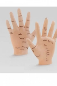 Akupunktur EL Maketi