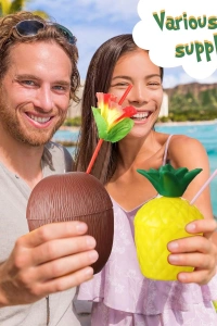 Ananas & Hindistan Cevizi Tasarımlı Pipetli Bardak Seti (6 Adet)
