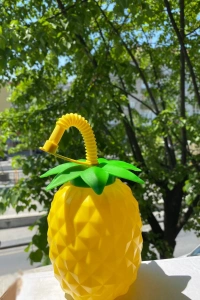 Ananas Pipetli Suluk