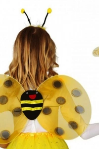 Arı Seti - Arı Kanadı Tacı Ve Asası