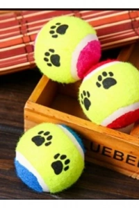 At Getir Köpek Eğitim Topu