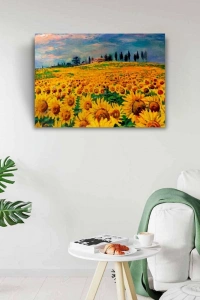 Ayçiçeği, Gündöndü, Günebakan Tarlası Kanvas Tablo 50 x 70