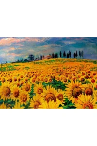 Ayçiçek Tarlası Canvas Tablo (50x70)