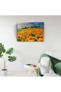 Ayçiçek Tarlası Canvas Tablo (50x70)