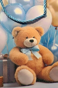 Ayıcık Desenli Mavi Büyük Boy Karton Hediye Çantası