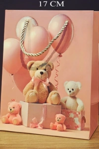 Ayıcık Desenli Pembe Küçük Boy Karton Hediye Çantası