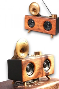 B6 SPEAKER HOPARLÖR