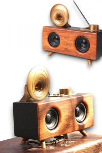 B6 SPEAKER HOPARLÖR