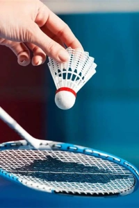 BADMİNTON RAKET SETİ ÇANTALI 2 PARÇA