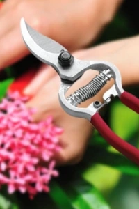 Bağ Makası - Bahçe Makası