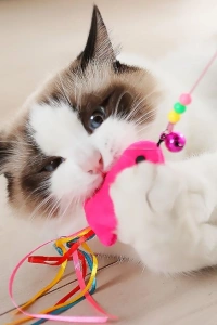 Balıklı Kedi Oyun Oltası