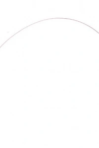 Balıklı Kedi Oyun Oltası