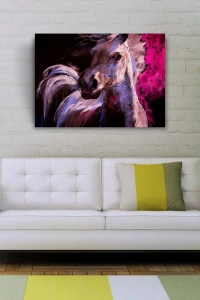 Beyaz At Yağlıboya Kanvas Tablo 50 x 70