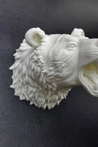 Beyaz Renk 3D Ayı Başı Duvar Dekoru