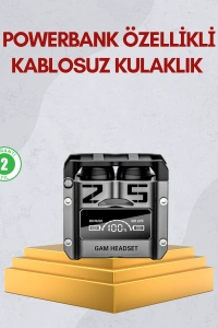 Bluetooth 5.0 Kulak İçi Kulaklık Mikrofonlu Kablosuz Model