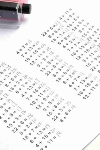 Bölme İşlemi Alıştırma Test Kaşesi