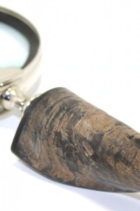 Boynuz Büyüteç Model 3