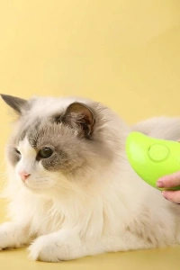 Buharlı Kedi Tarağı